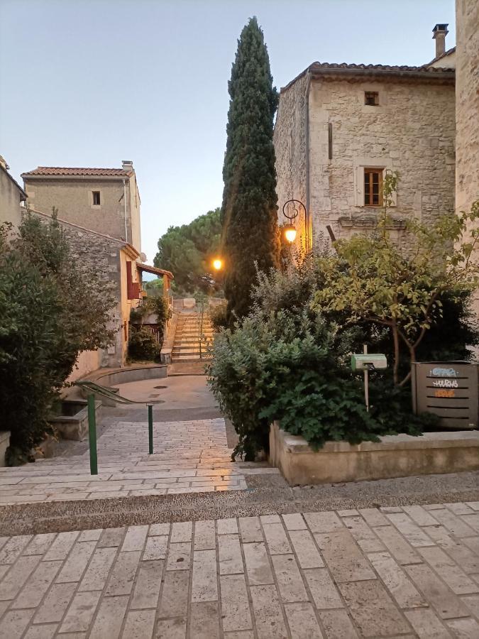 Aramon A Deux Pas D'Avignonヴィラ エクステリア 写真